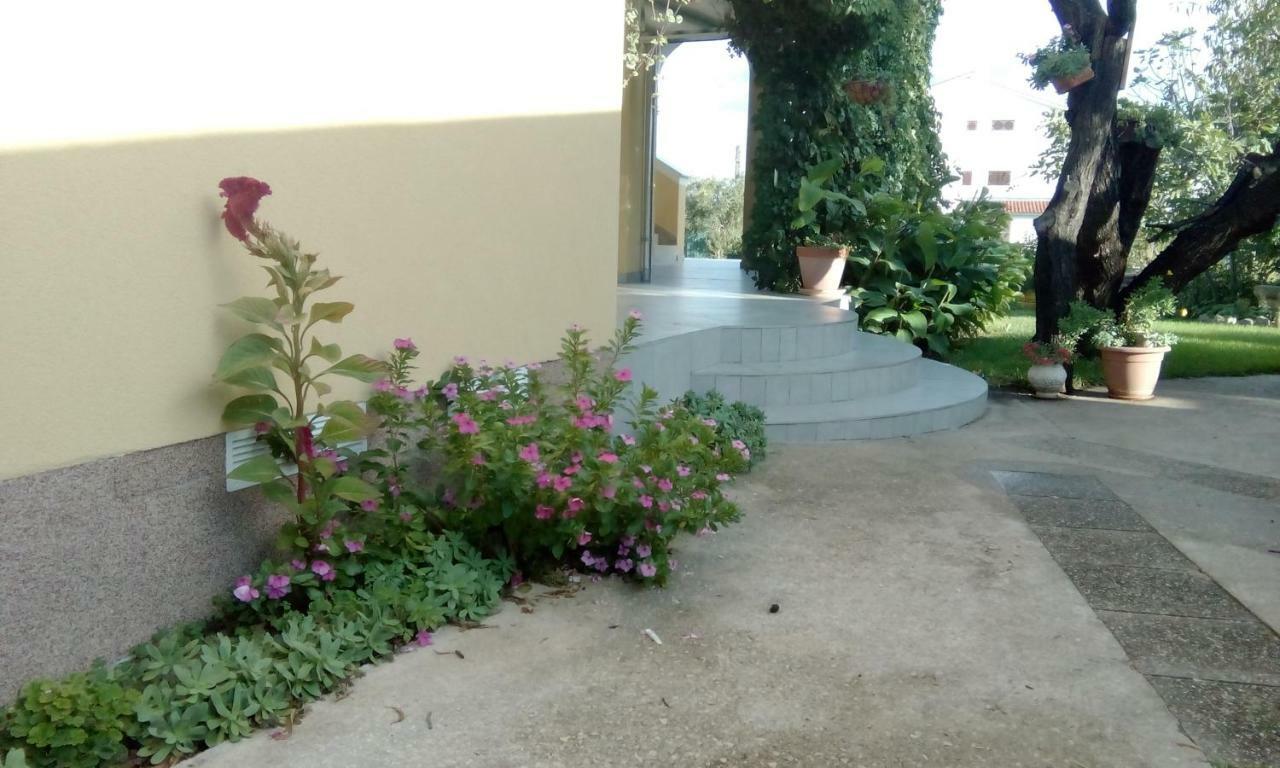 Apartments Meri Vodice Ngoại thất bức ảnh